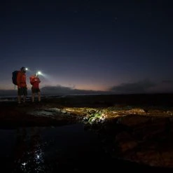 Led Lenser MH8 Genopladelig Pandelampe